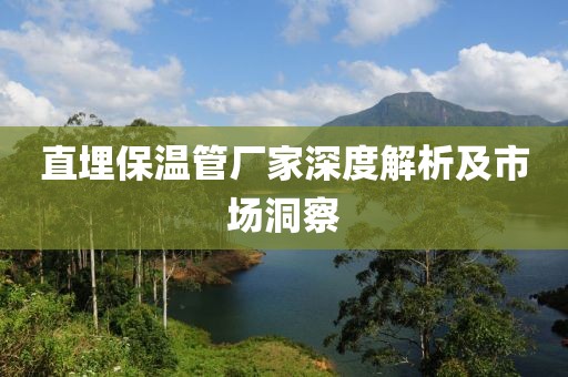 直埋保温管厂家深度解析及市场洞察