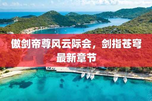 傲剑帝尊风云际会，剑指苍穹最新章节