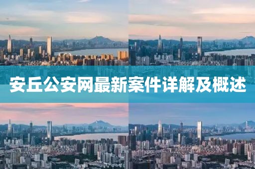 安丘公安网最新案件详解及概述