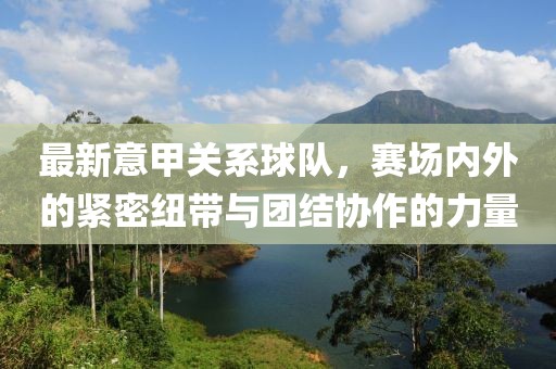 最新意甲关系球队，赛场内外的紧密纽带与团结协作的力量