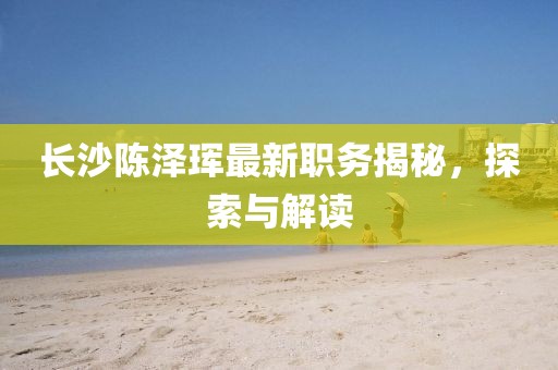 长沙陈泽珲最新职务揭秘，探索与解读