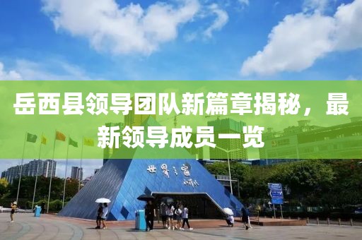 岳西县领导团队新篇章揭秘，最新领导成员一览
