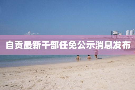 自贡最新干部任免公示消息发布