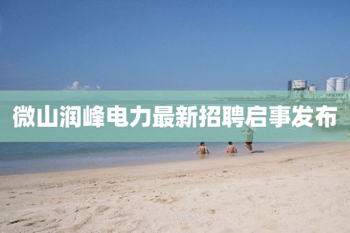 微山润峰电力最新招聘启事发布