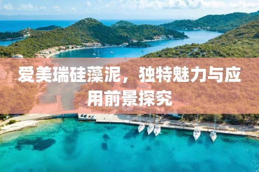爱美瑞硅藻泥，独特魅力与应用前景探究