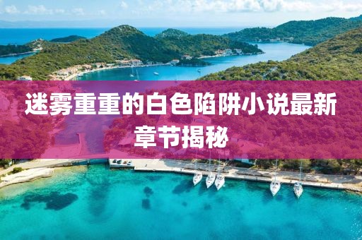 迷雾重重的白色陷阱小说最新章节揭秘