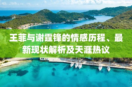 灵松 第19页