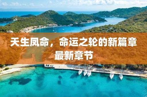 天生凤命，命运之轮的新篇章最新章节