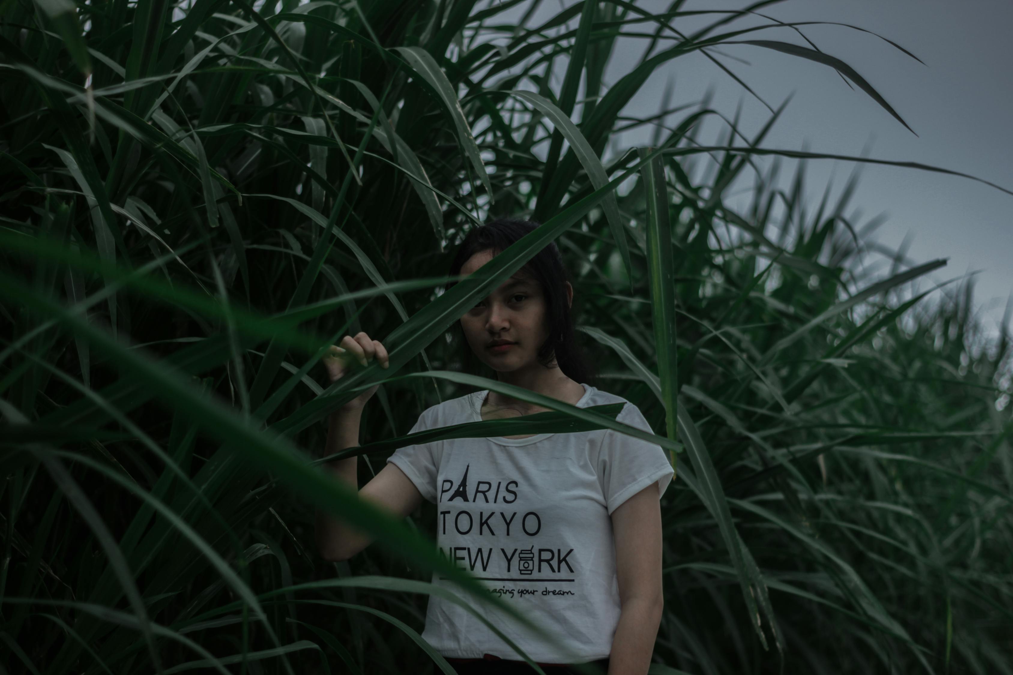 探索小草论坛最新地址的魅力与奥秘