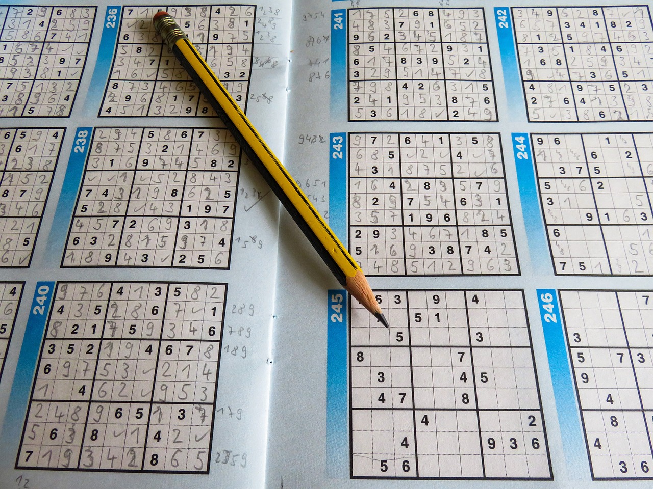 新澳门2024历史开奖记录查询表，精准解答方案详解，简易版WL6059.211