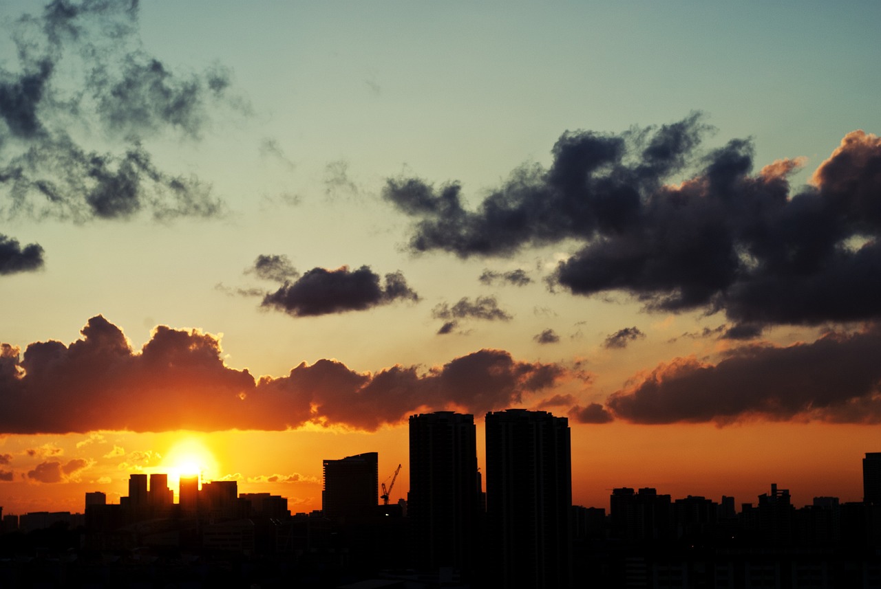 2024年11月 第18页