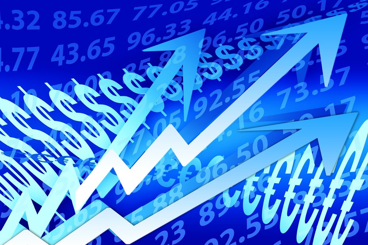 乌金猪养殖最新视频，探索养殖技术与产业发展新趋势