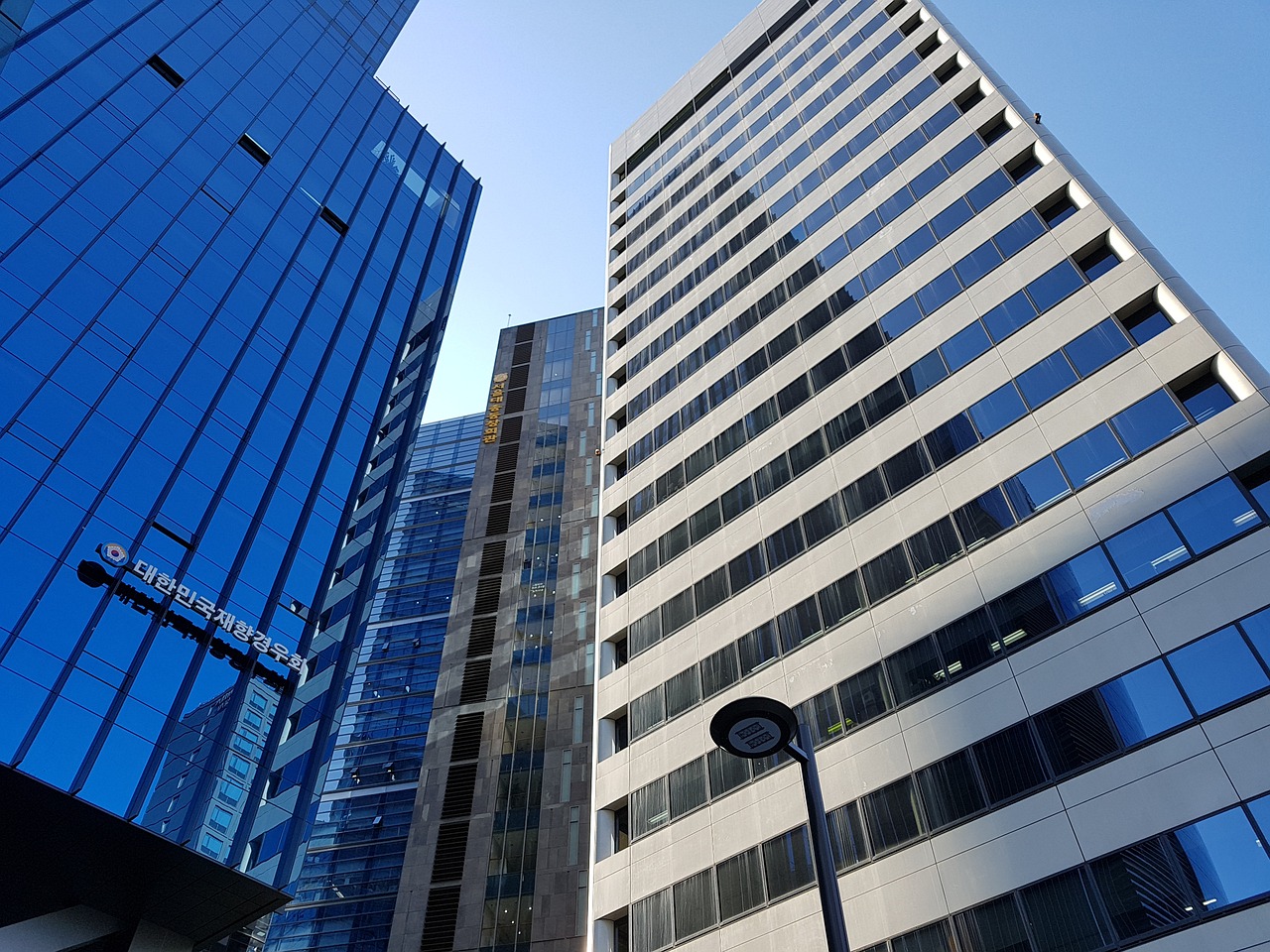庆城县最新人事任免动态公布