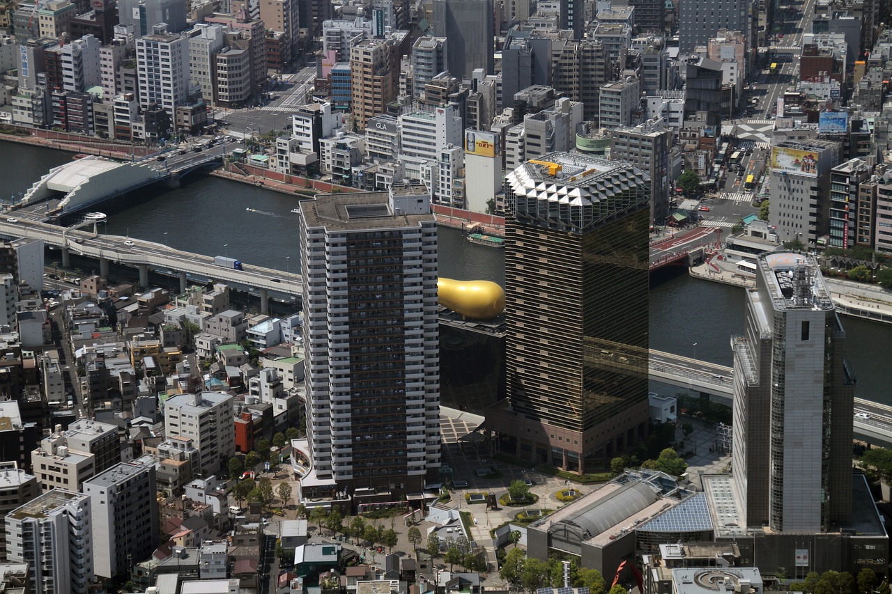 2024年12月 第31页