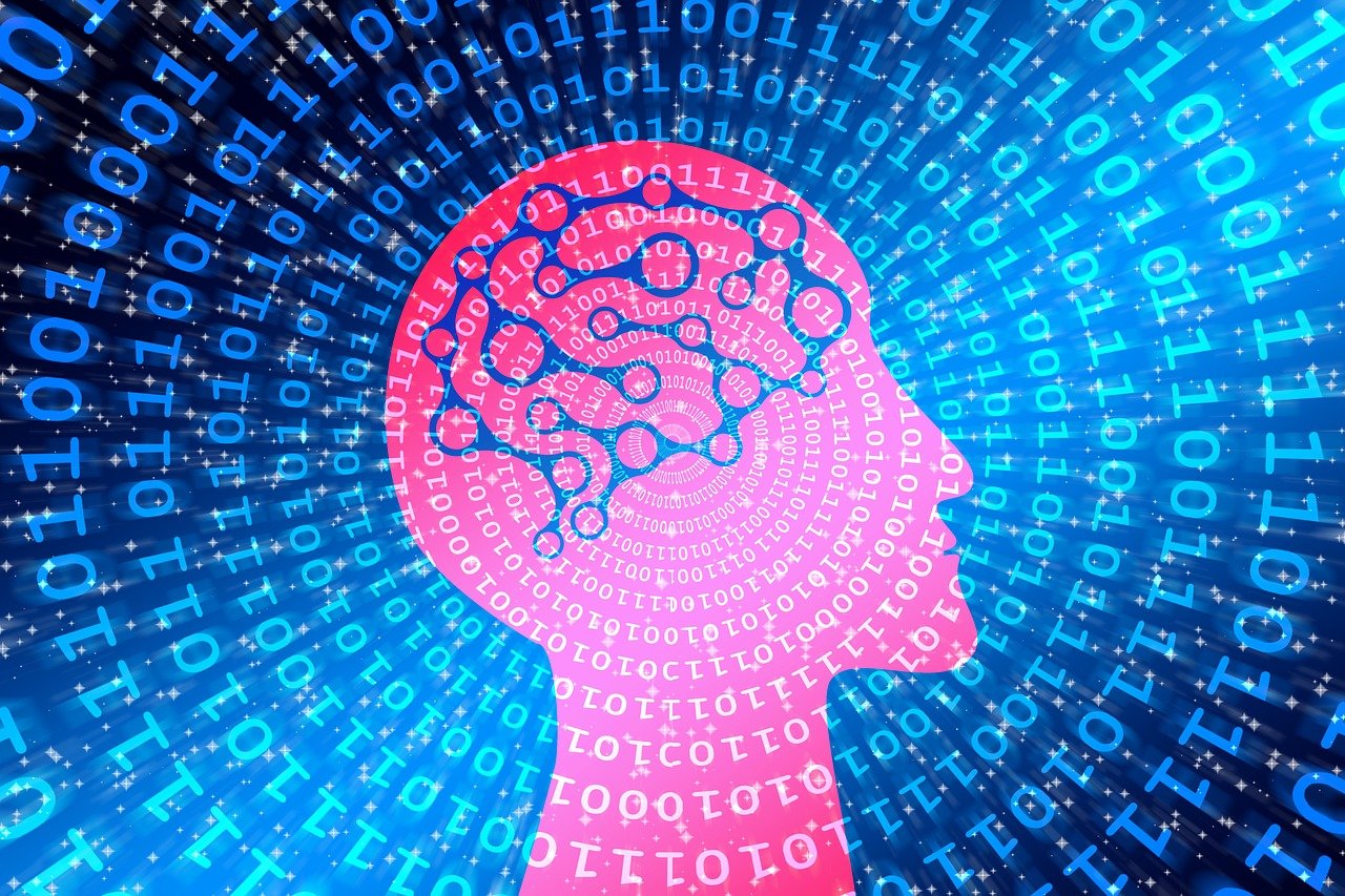 金七乐最新开奖，数字世界的魅力探索