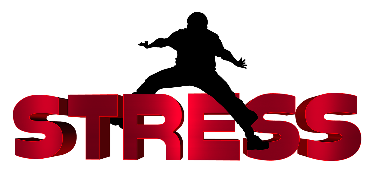 庆阳秦华最新信息概述,最新动态一网打尽