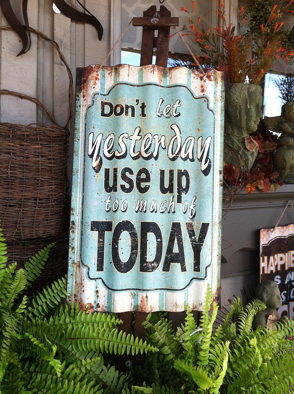 今日今乡大蒜最新价格动态分析与趋势预测