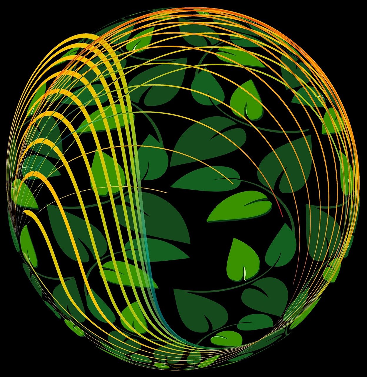 那夜梦境中的最新章节探索