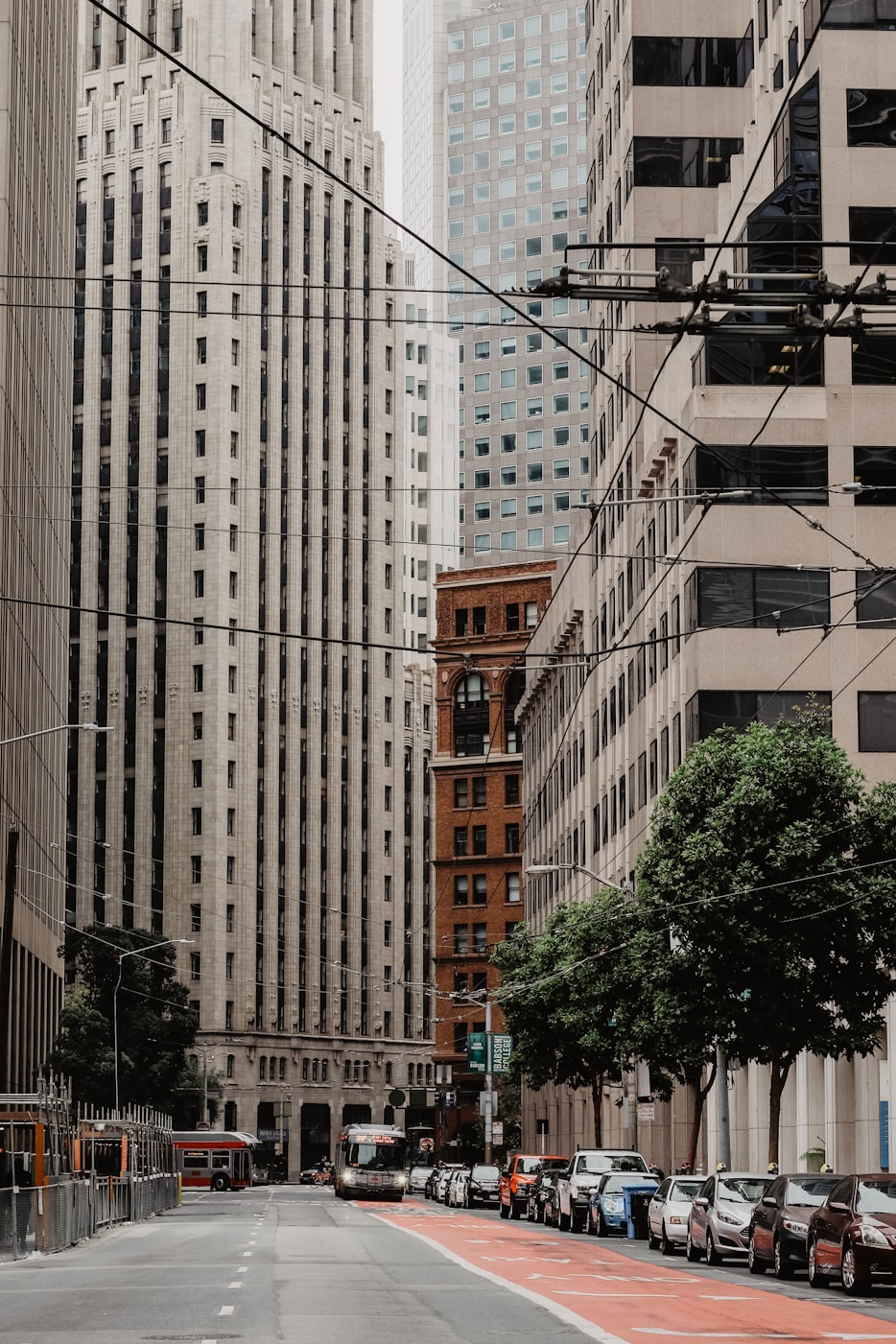 合肥滨湖新区建设最新动态,城市繁荣新引擎驱动发展