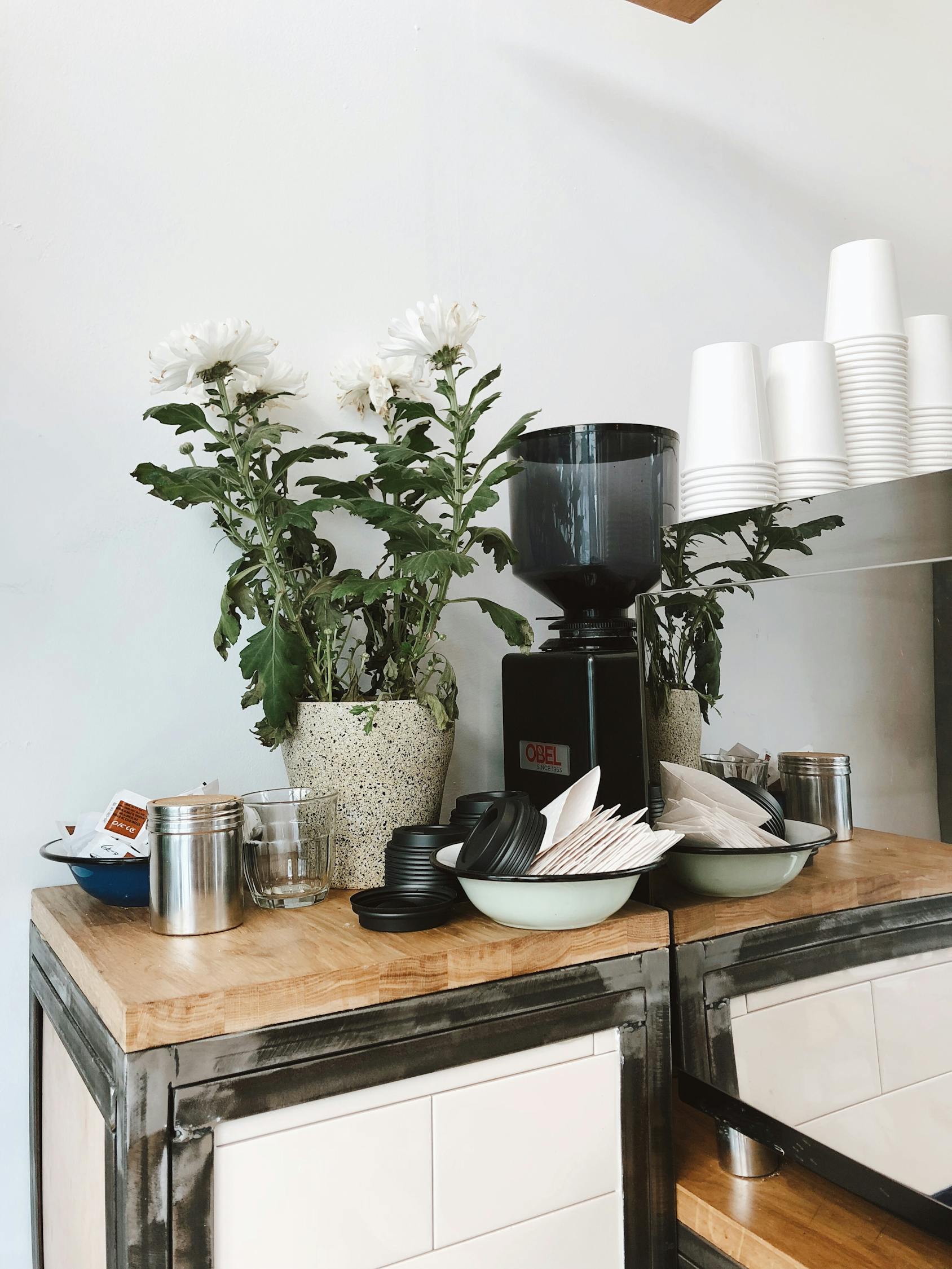 硅藻泥色卡,家居美学的全新诠释与探索